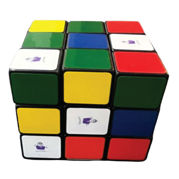 Wiarton Willie Rubik's Cube